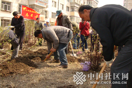 黑龙江安智社区举行珍爱绿色植树活动-物业
