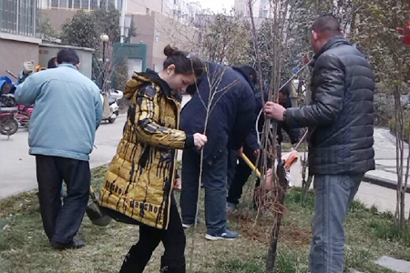 河南紫南社区志愿者开展植树节志愿活动